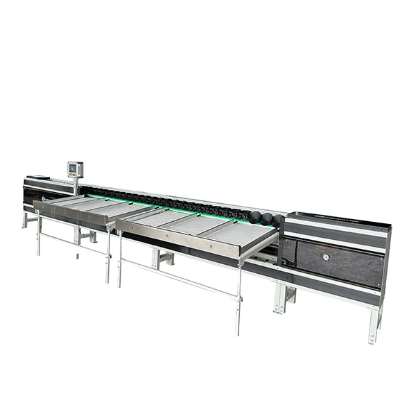Manual Fruit Loading grader
